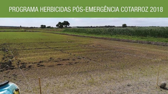 Programa herbicidas pós-emergência COTARROZ 2018